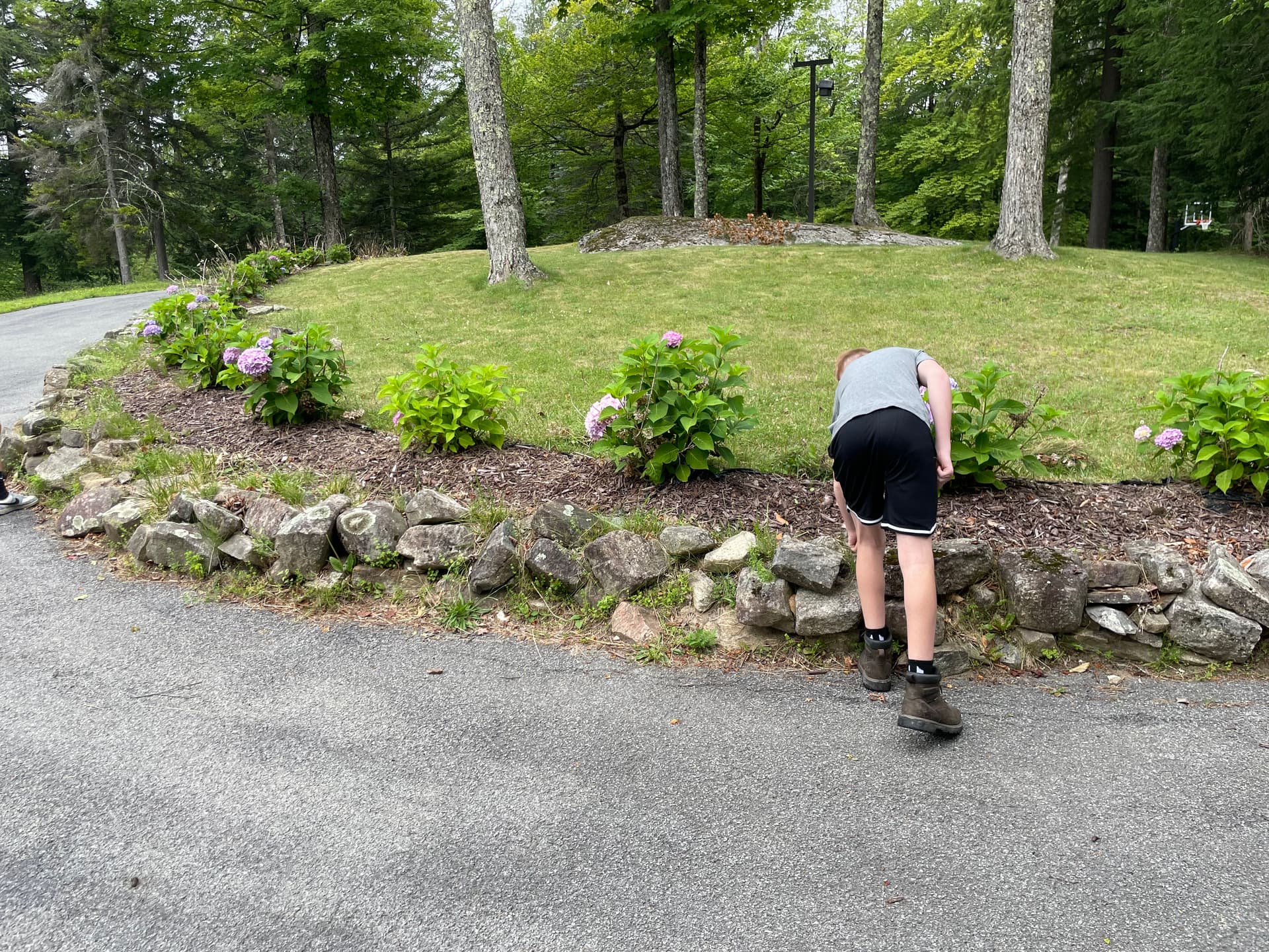 Gallery photos for Fresh Mulch Beds and Mountain Views in Fort Ann: Image #7