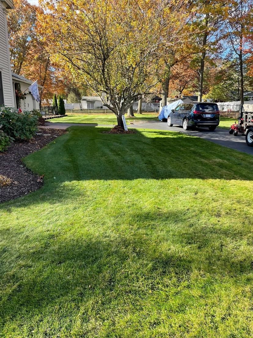 Lawn with neatly mowed grass, a tree, and autumn foliage in a residential setting.