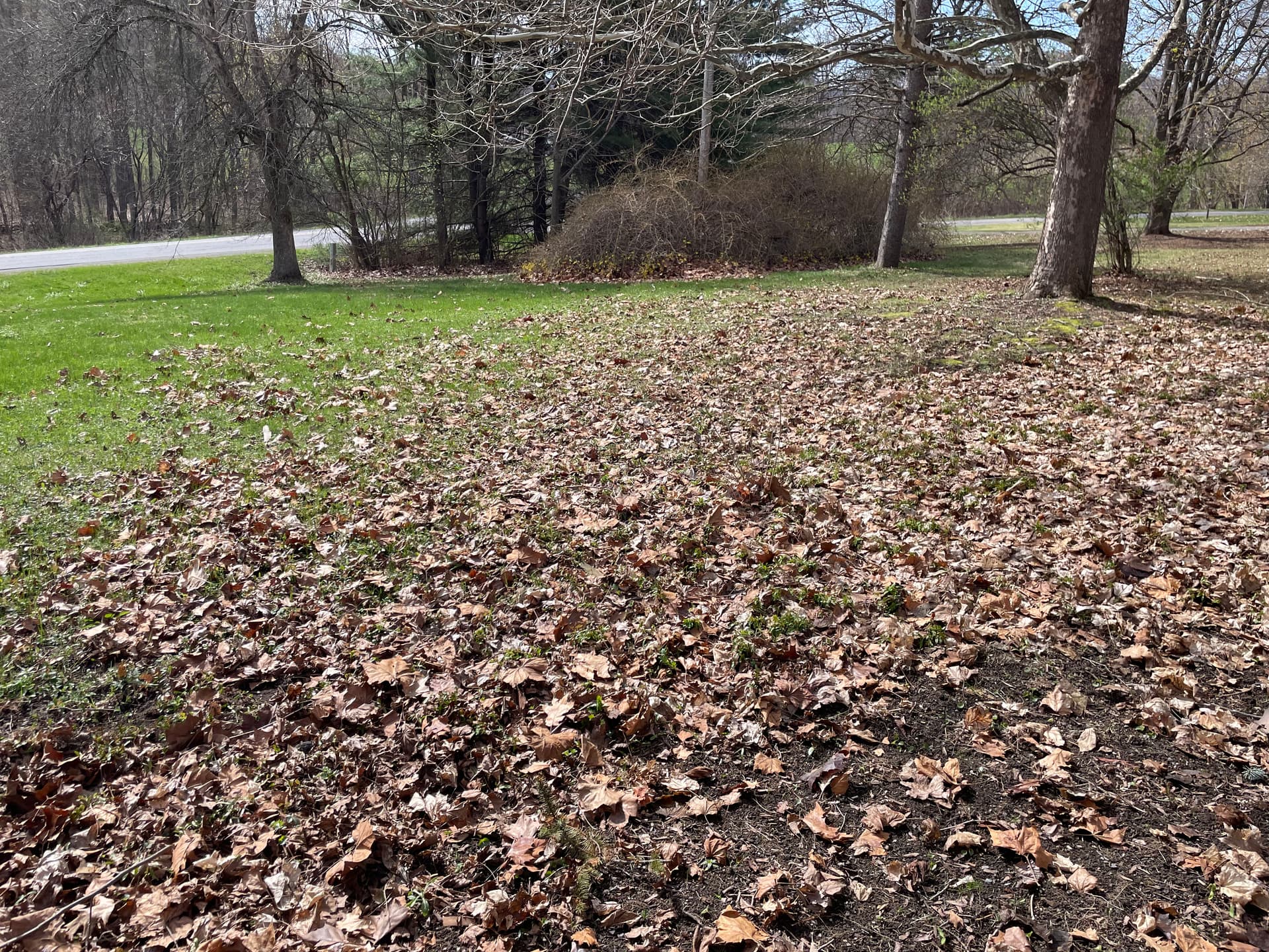 Gallery photos for Spring Cleanup at a Hartford NY Property with a View: Image #1