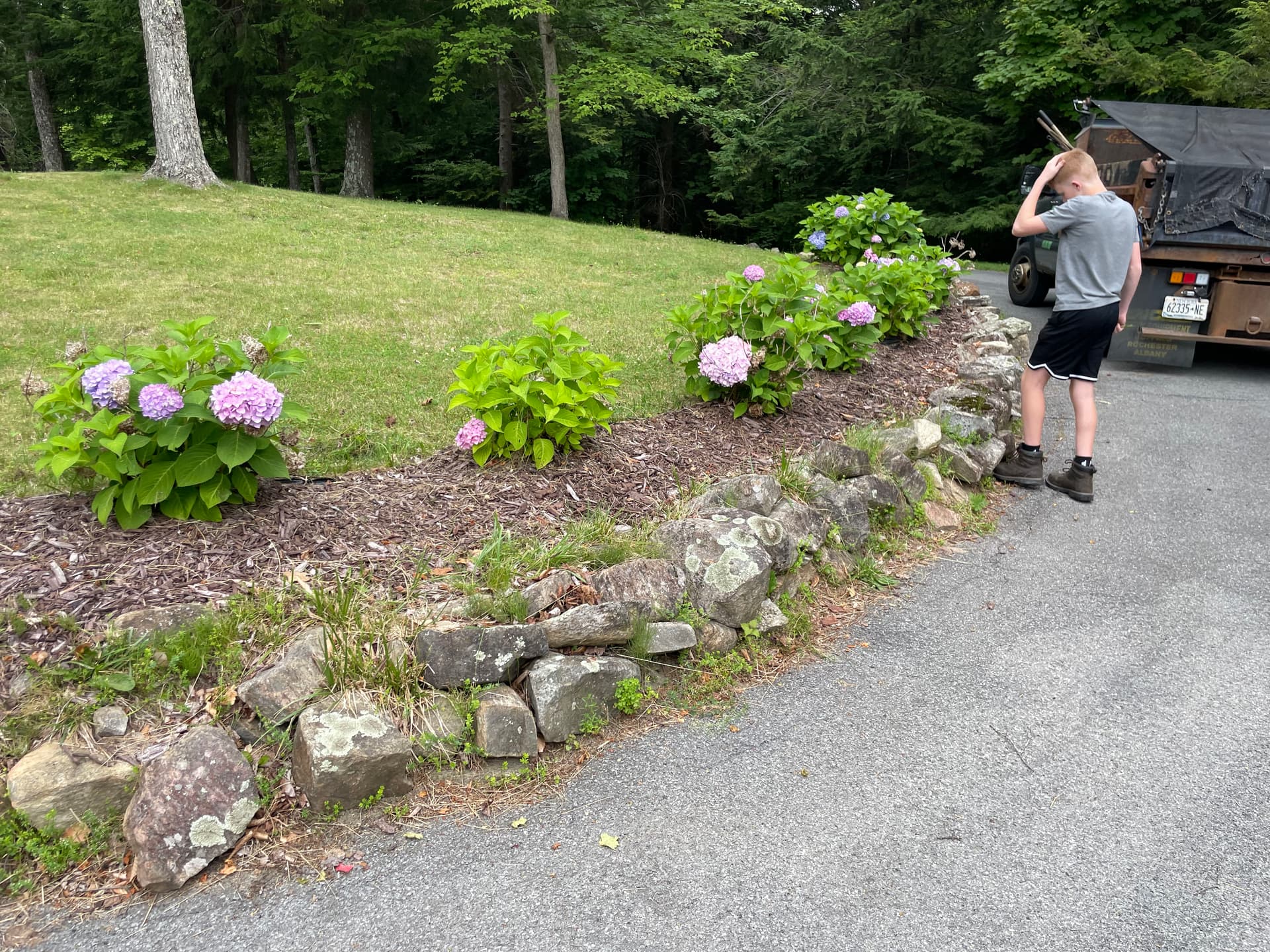 Gallery photos for Fresh Mulch Beds and Mountain Views in Fort Ann: Image #6