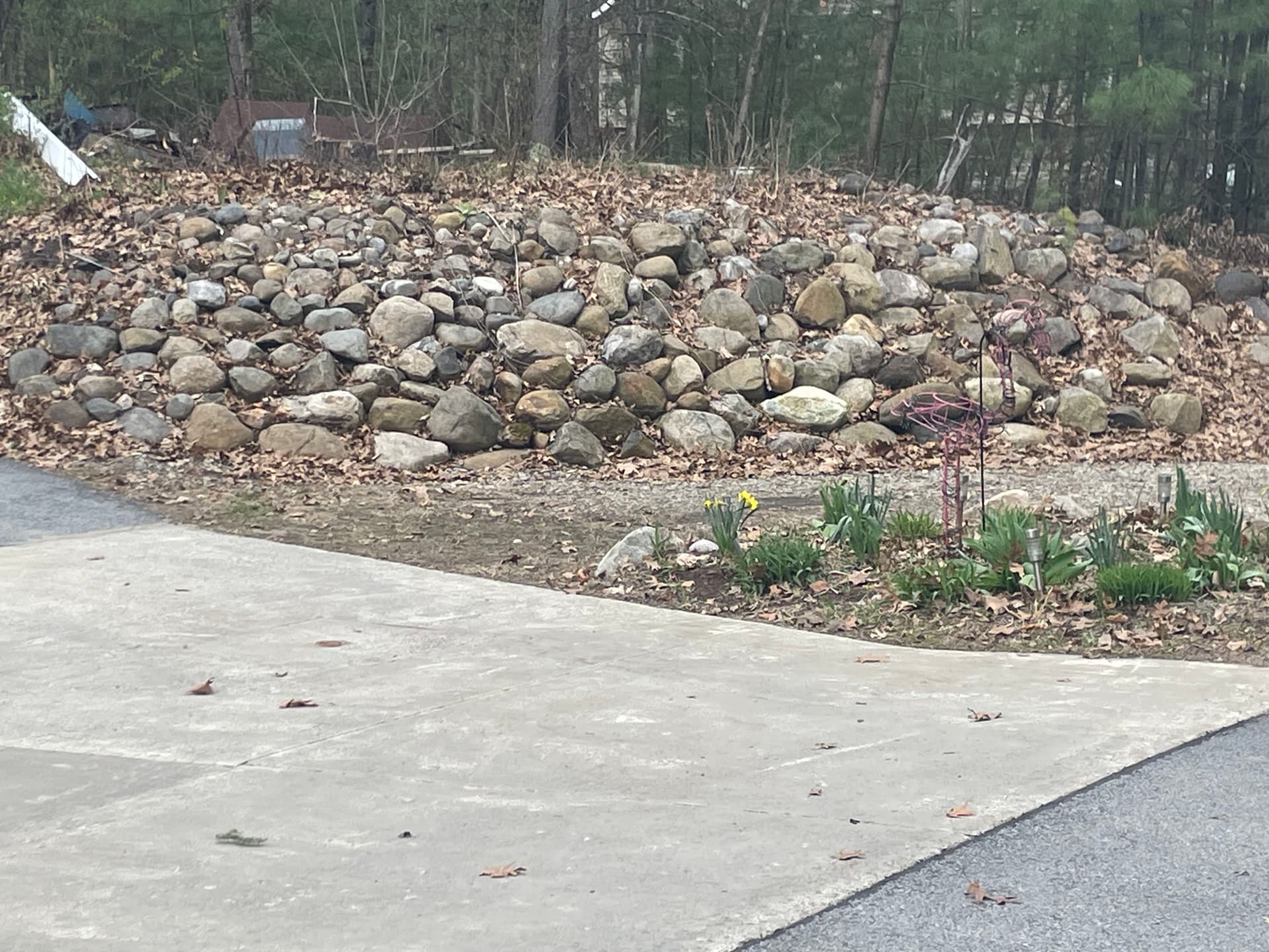 Gallery photos for South Glen Falls Property Gets a Full Front to Back Clean-Up: Image #4