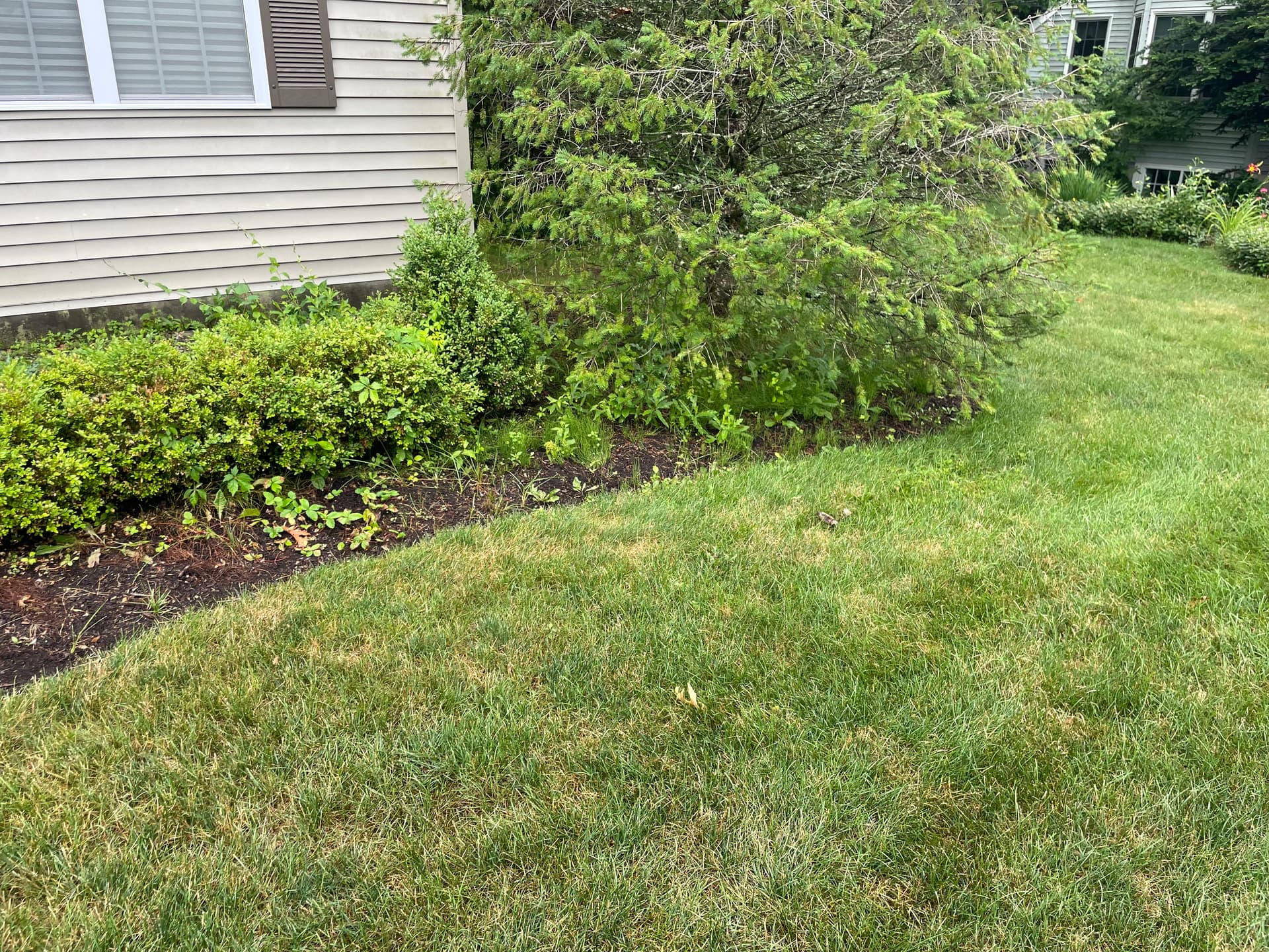 Landscape Bed Rehab and Fresh Mulch in Fort Edward NY