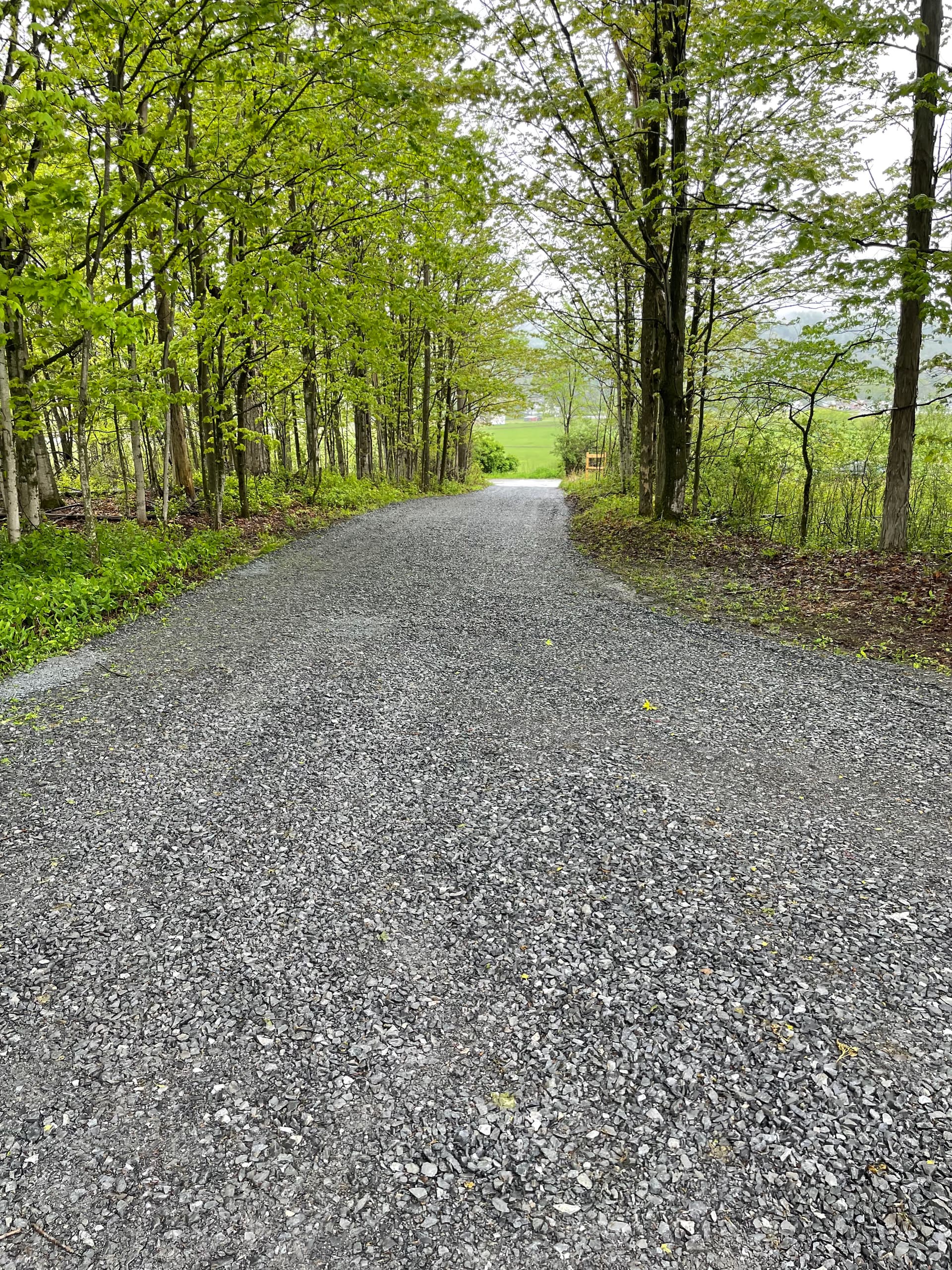 Gallery photos for Gravel Driveway Refresh Done Right in Comstock NY: Image #2