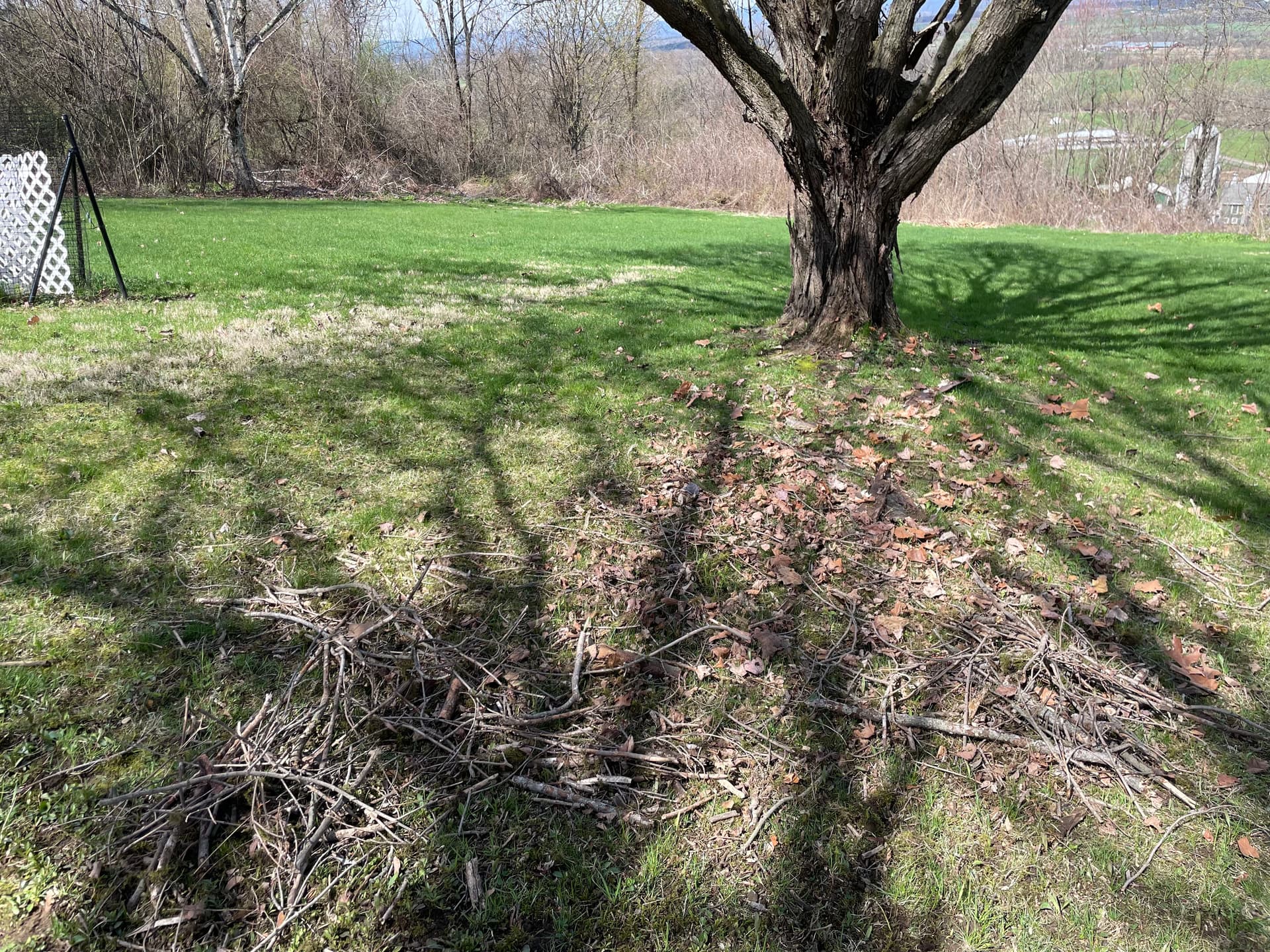 Gallery photos for Spring Cleanup at a Hartford NY Property with a View: Image #2